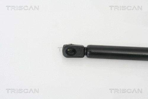 Gas Spring, boot/cargo area