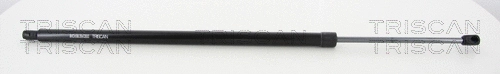 Gas Spring, boot/cargo area (8710 80216)