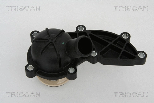 Thermostat, coolant (8620 21688)