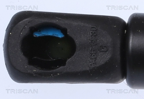Gas Spring, bonnet