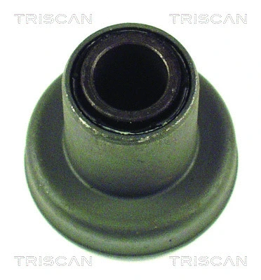 Mounting, control/trailing arm (8500 29800)