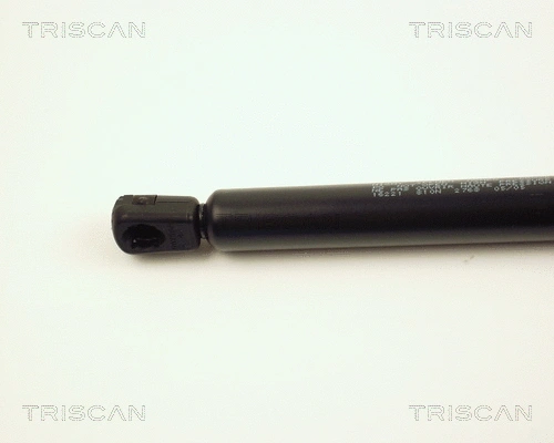 Gas Spring, boot/cargo area