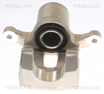 Brake Caliper (8175 43212)