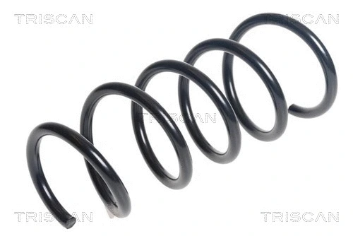 Suspension Spring (8750 25142)