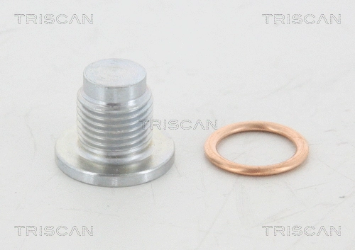 Screw Plug, oil sump (95-0984)