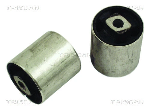 Mounting, control/trailing arm (8500 11834)