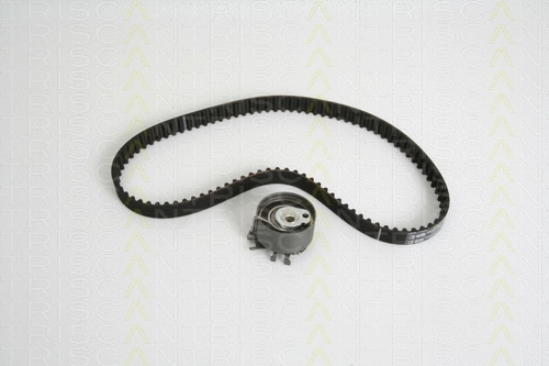 Timing Belt Kit (8647 25031)