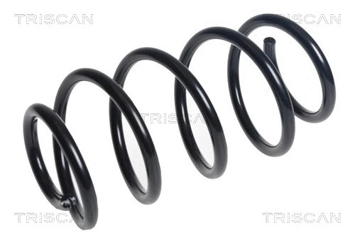 Suspension Spring (8750 16140)