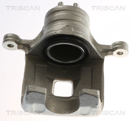 Brake Caliper (8175 14212)