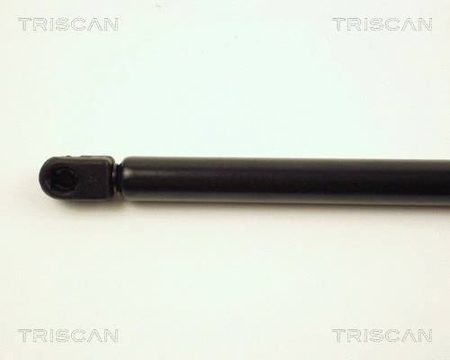 Gas Spring, boot/cargo area