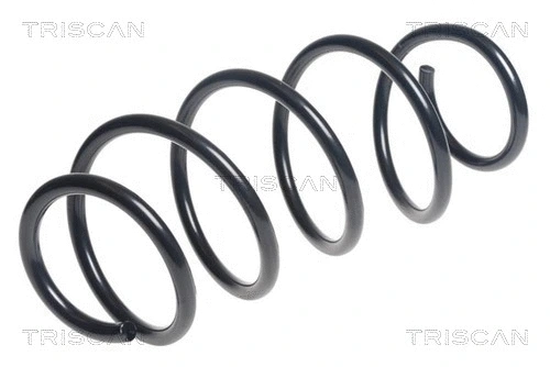 Suspension Spring (8750 11209)