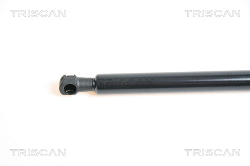 Gas Spring, bonnet