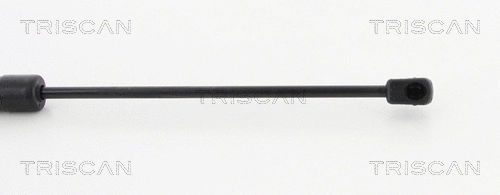 Gas Spring, boot/cargo area