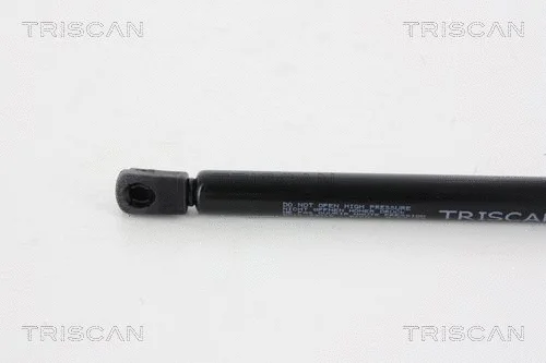 Gas Spring, boot/cargo area