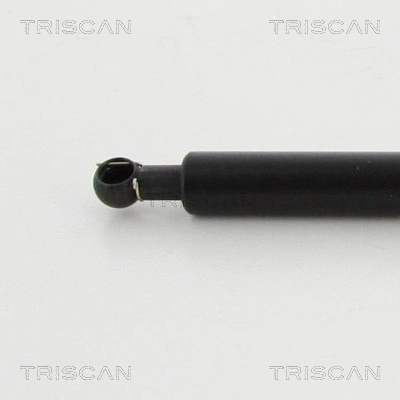 Gas Spring, boot/cargo area