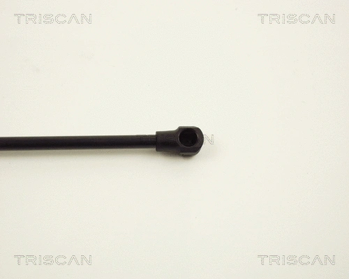 Gas Spring, boot/cargo area
