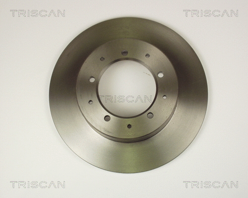 Brake Disc (8120 17113)