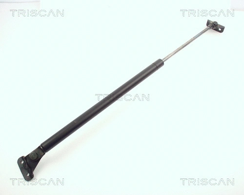 Gas Spring, boot/cargo area (8710 10202)