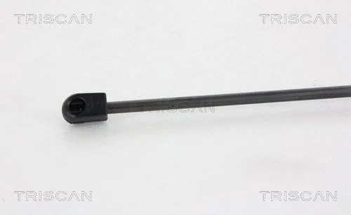 Gas Spring, boot/cargo area