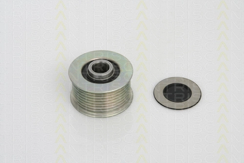 Alternator Freewheel Clutch (8641 504001)