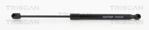 Gas Spring, boot/cargo area