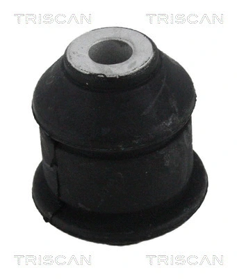 Mounting, control/trailing arm (8500 298048)