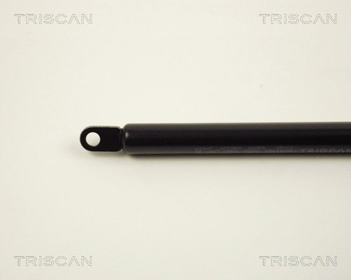 Gas Spring, boot/cargo area