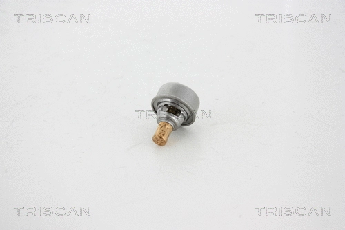 Thermostat, coolant (8620 13082)
