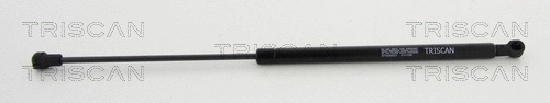 Gas Spring, boot/cargo area
