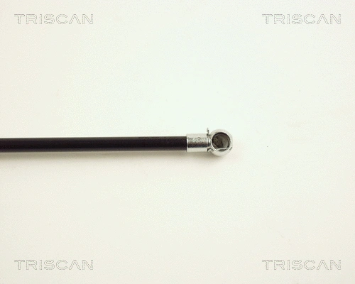 Gas Spring, boot/cargo area