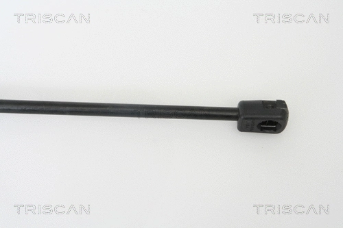 Gas Spring, boot/cargo area