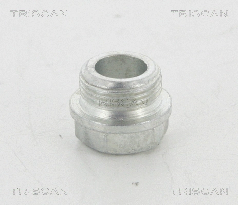 Screw Plug, oil sump (95-0992)