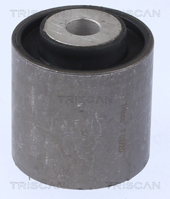 Mounting, control/trailing arm (8500 238019)