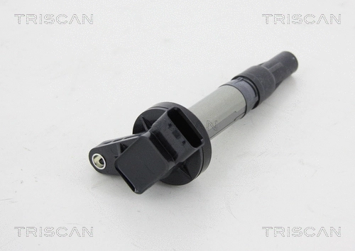 Ignition Coil (8860 10020)