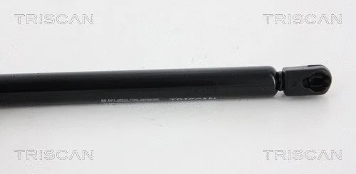 Gas Spring, boot/cargo area