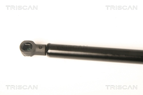 Gas Spring, rear window