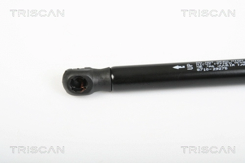 Gas Spring, boot/cargo area