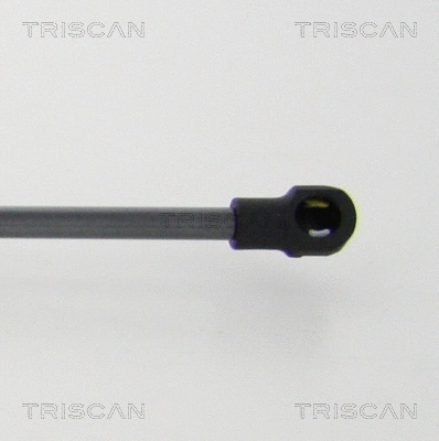 Gas Spring, boot/cargo area