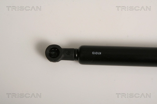 Gas Spring, boot/cargo area