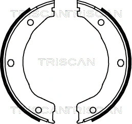 Brake Shoe Set, parking brake (8100 10030)