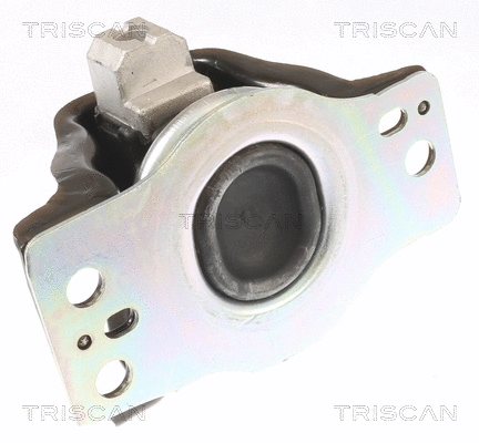 Mounting, engine