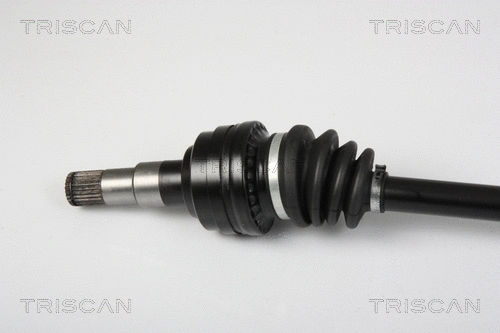Drive Shaft