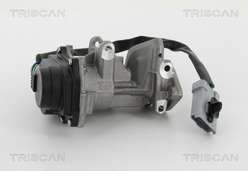 EGR Valve