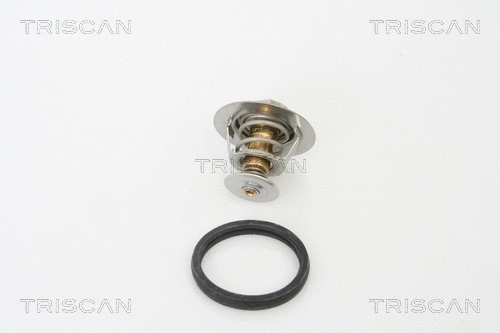 Thermostat, coolant (8620 17588)