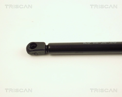 Gas Spring, boot/cargo area