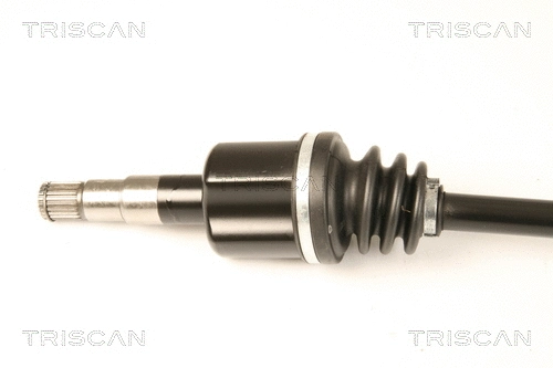 Drive Shaft