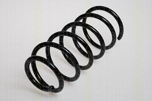 Suspension Spring (8750 29013)