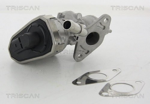 EGR Valve (8813 16100)