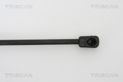 Gas Spring, boot/cargo area