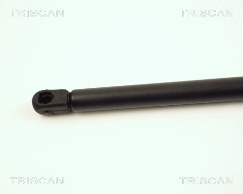 Gas Spring, boot/cargo area